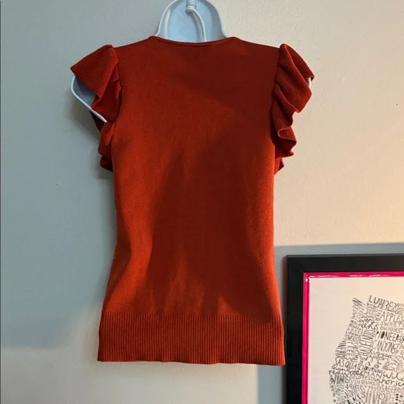Ann Taylor Factory Rust Ruffle Sleeve Top EUC - Picture 2 of 3